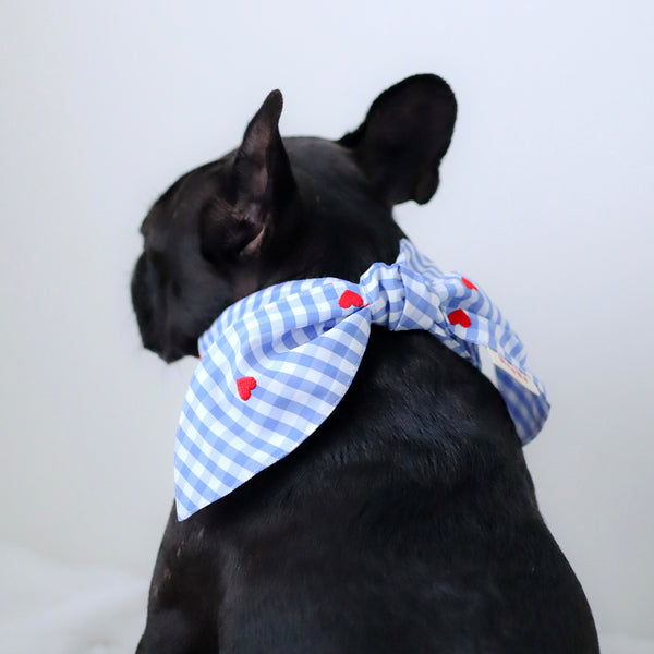 画像をギャラリービューアに読み込む, リボンクールネック 【ギンガムチェック】