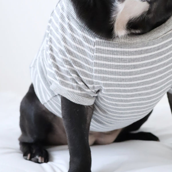 画像をギャラリービューアに読み込む, FRENCH リブボーダーTシャツ