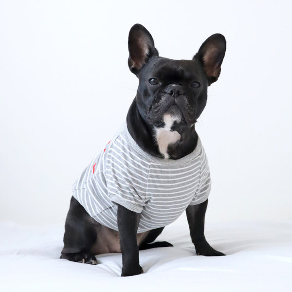 画像をギャラリービューアに読み込む, FRENCH リブボーダーTシャツ