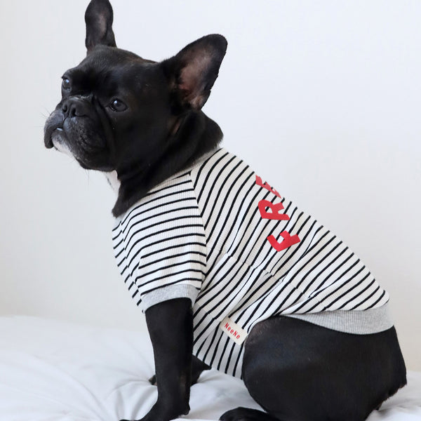 画像をギャラリービューアに読み込む, FRENCH リブボーダーTシャツ