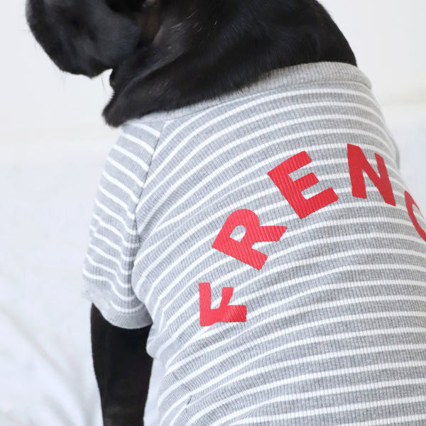 画像をギャラリービューアに読み込む, FRENCH リブボーダーTシャツ