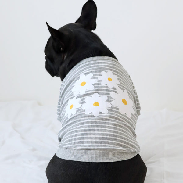 画像をギャラリービューアに読み込む, FLOWERリブボーダーTシャツ