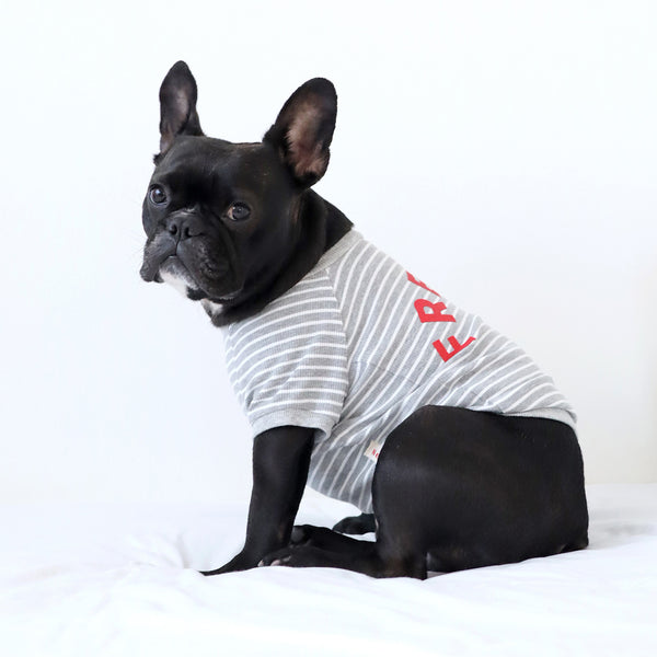 画像をギャラリービューアに読み込む, FRENCH リブボーダーTシャツ