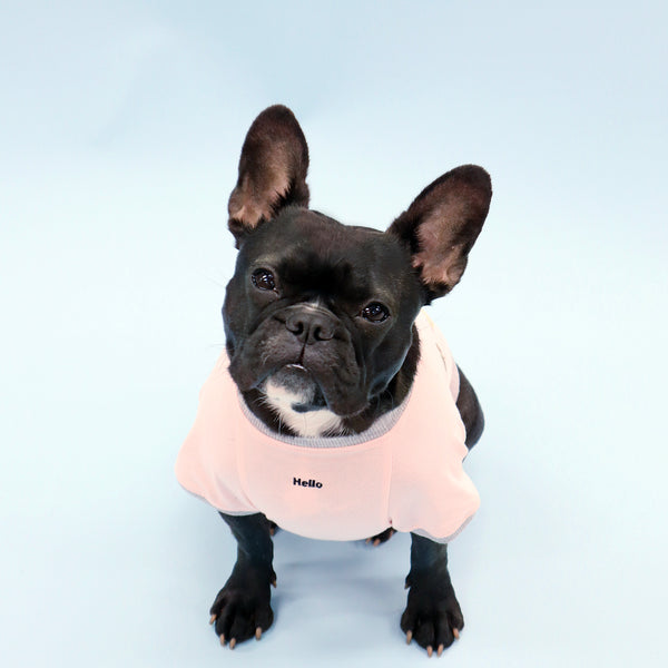 画像をギャラリービューアに読み込む, くいしんぼうTシャツ(Hello)