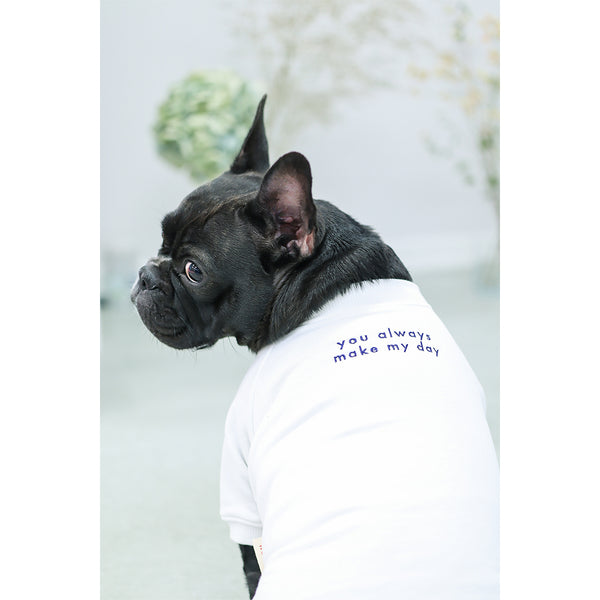 画像をギャラリービューアに読み込む, ロゴ刺繍ラグランスウェット