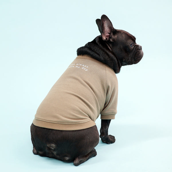 画像をギャラリービューアに読み込む, ロゴ刺繍ラグランスウェット