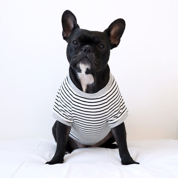 画像をギャラリービューアに読み込む, FLOWERリブボーダーTシャツ