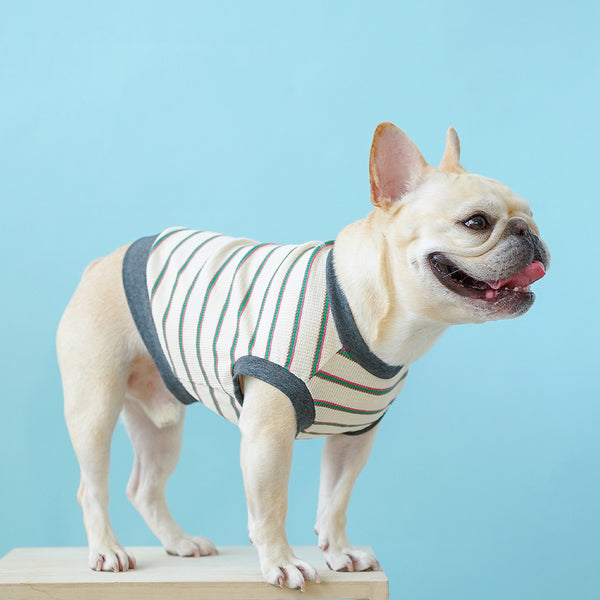 画像をギャラリービューアに読み込む, WITH YOUワッフルボーダータンクトップ