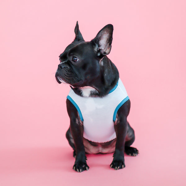 画像をギャラリービューアに読み込む, サステナブルタンクトップ