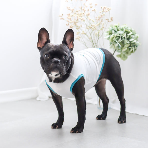 画像をギャラリービューアに読み込む, サステナブルタンクトップ