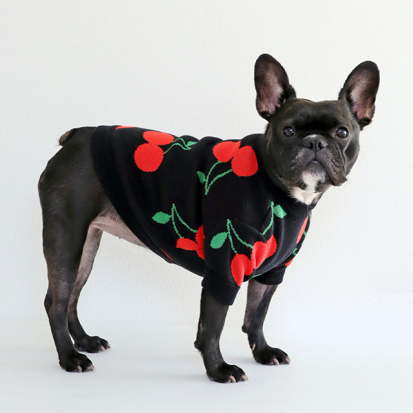 画像をギャラリービューアに読み込む, CHERRY KNIT