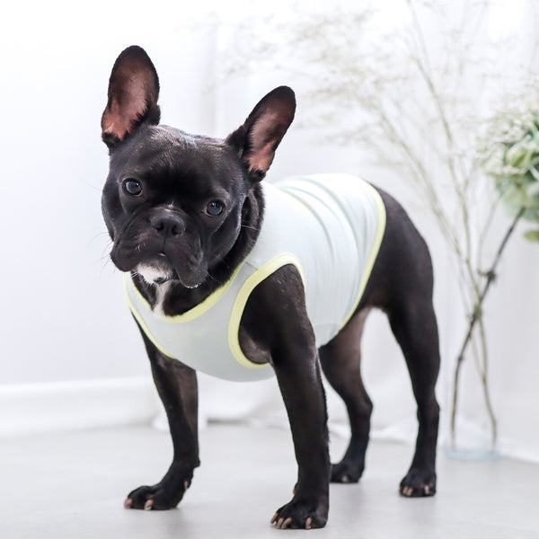 画像をギャラリービューアに読み込む, サステナブルタンクトップ