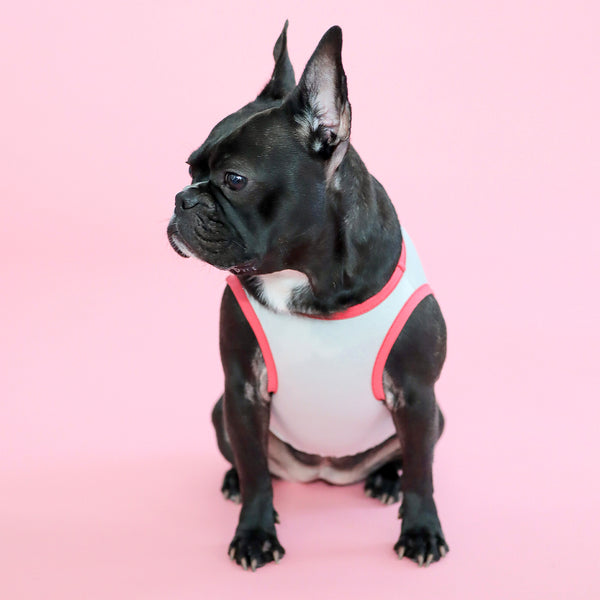 画像をギャラリービューアに読み込む, サステナブルタンクトップ