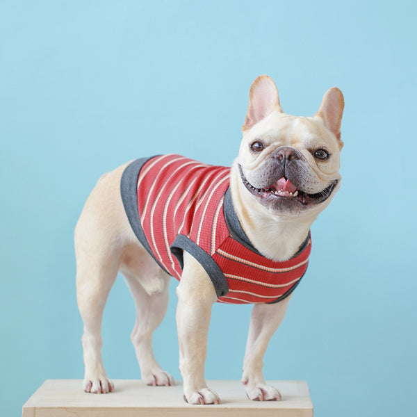 画像をギャラリービューアに読み込む, WITH YOUワッフルボーダータンクトップ