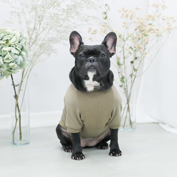 画像をギャラリービューアに読み込む, ロゴ刺繍ラグランスウェット