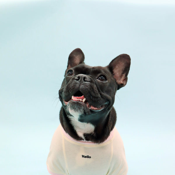 画像をギャラリービューアに読み込む, くいしんぼうTシャツ(Hello)