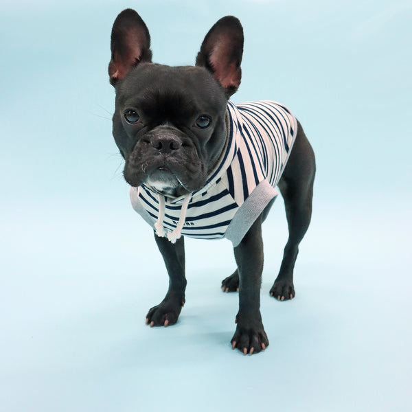 画像をギャラリービューアに読み込む, NeeNeロゴボーダーパーカー