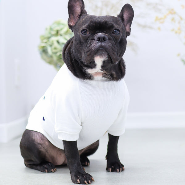 画像をギャラリービューアに読み込む, ハート刺繍ラグランスウェット