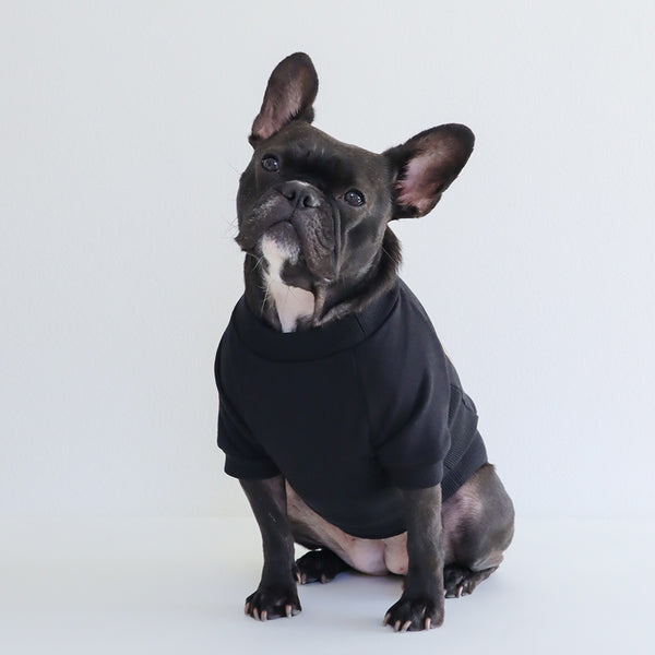 画像をギャラリービューアに読み込む, SWEET POTATOスウェット