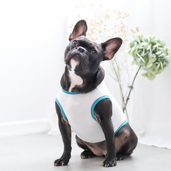 画像をギャラリービューアに読み込む, サステナブルタンクトップ