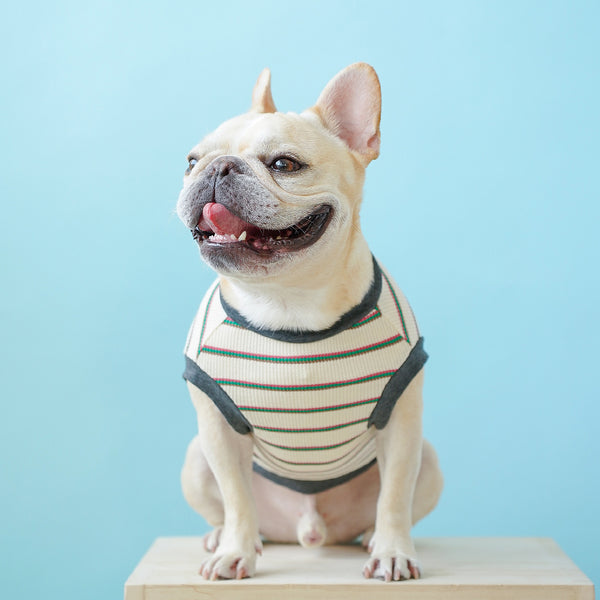 画像をギャラリービューアに読み込む, WITH YOUワッフルボーダータンクトップ