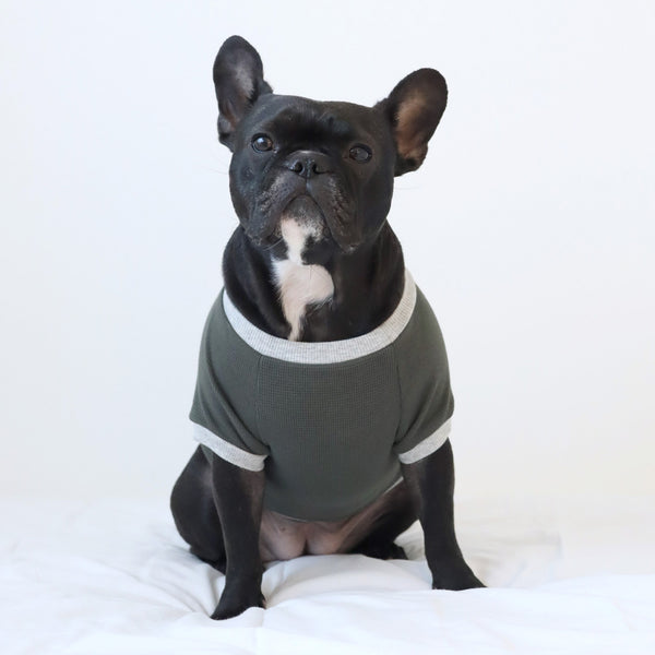 画像をギャラリービューアに読み込む, FRENCH ワッフルTシャツ