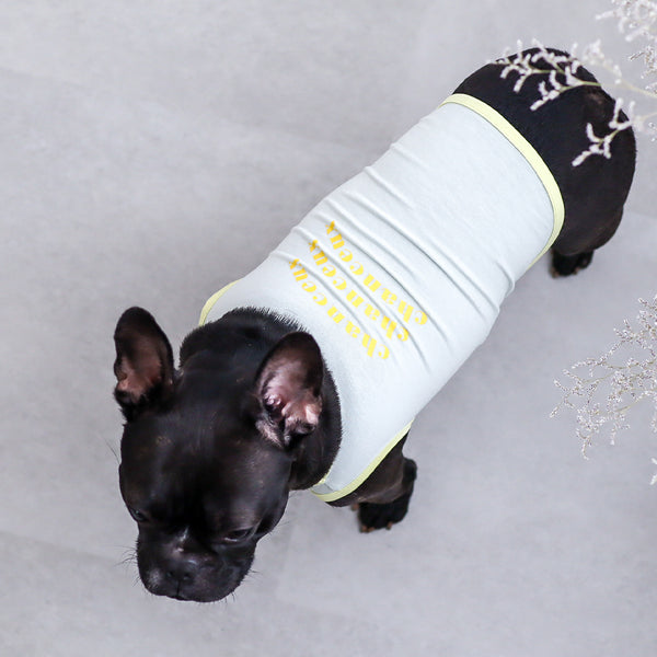 画像をギャラリービューアに読み込む, サステナブルタンクトップ