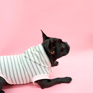 NeeNeロゴボーダーパーカー