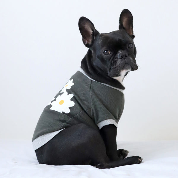 画像をギャラリービューアに読み込む, FLOWER ワッフルTシャツ