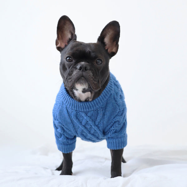 画像をギャラリービューアに読み込む, アラン柄セーター