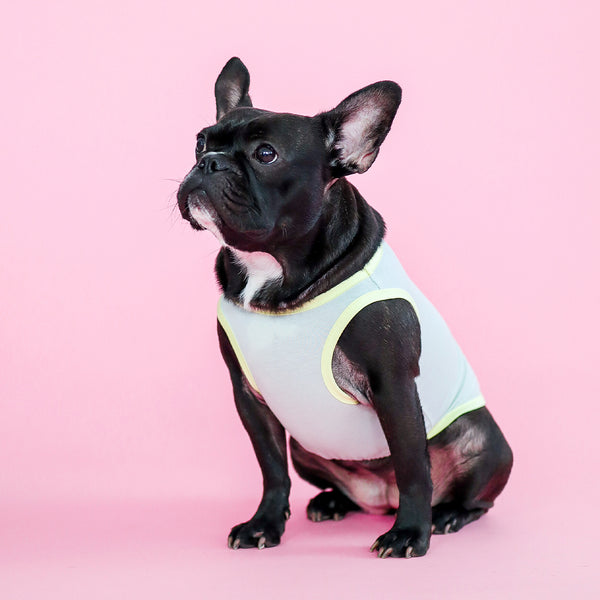 画像をギャラリービューアに読み込む, サステナブルタンクトップ