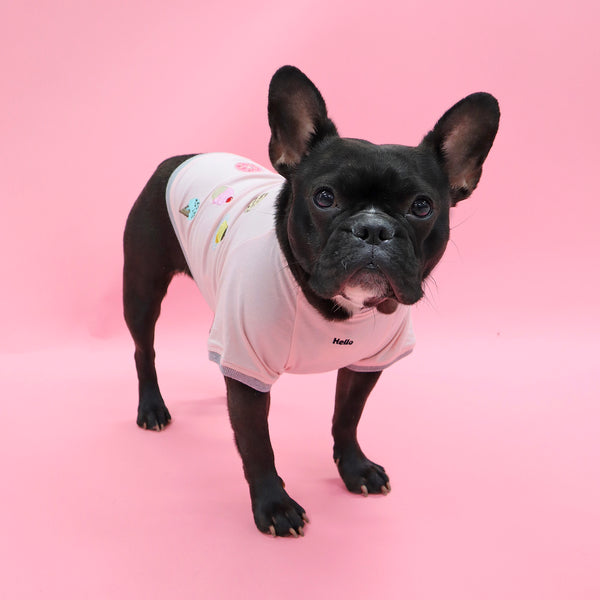 画像をギャラリービューアに読み込む, くいしんぼうTシャツ(Hello)