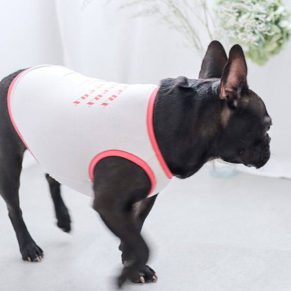 画像をギャラリービューアに読み込む, サステナブルタンクトップ