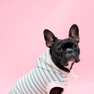 NeeNeロゴボーダーパーカー