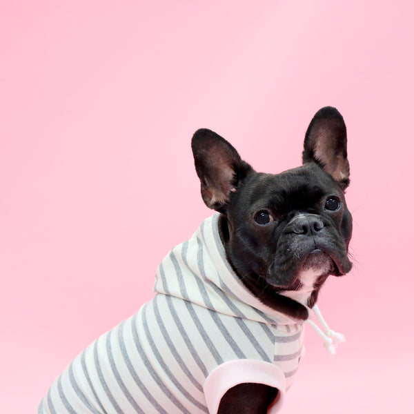 画像をギャラリービューアに読み込む, NeeNeロゴボーダーパーカー