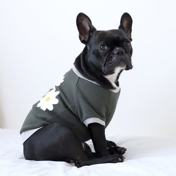 画像をギャラリービューアに読み込む, FLOWER ワッフルTシャツ