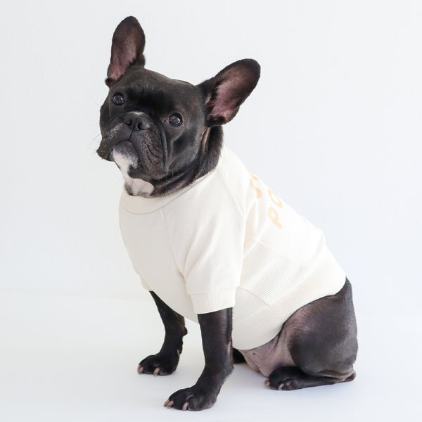 画像をギャラリービューアに読み込む, SWEET POTATOスウェット